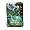 Berry Springs embroidered travel patch featuring swimmers in turquoise water beside a waterfall and lush tropical palms.