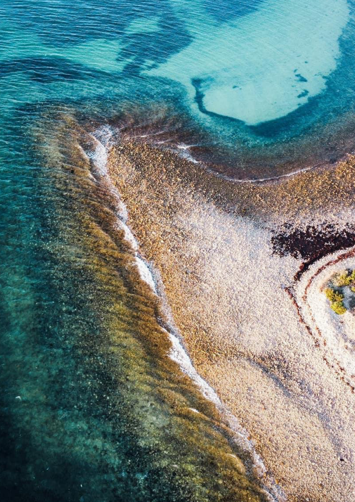 Aerial view of a shoreline with clear turquoise water, shallow sandy beige areas, and darker brown reef or seaweed formations.